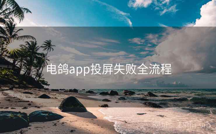 电鸽app投屏失败全流程
