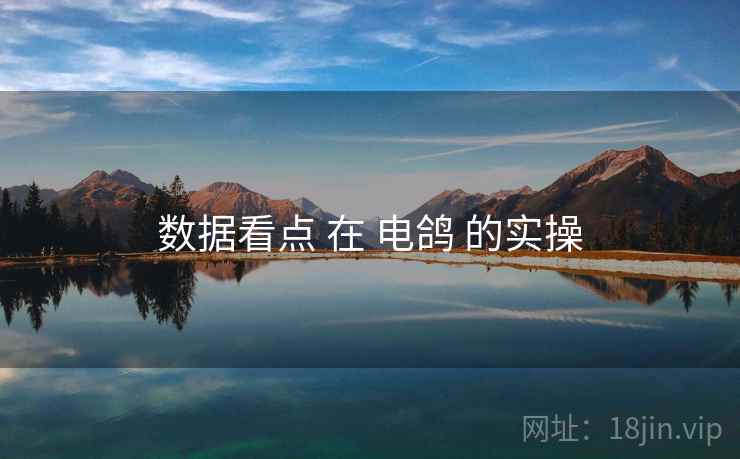 数据看点 在 电鸽 的实操