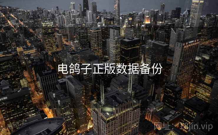 电鸽子正版数据备份