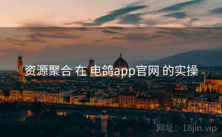 资源聚合 在 电鸽app官网 的实操