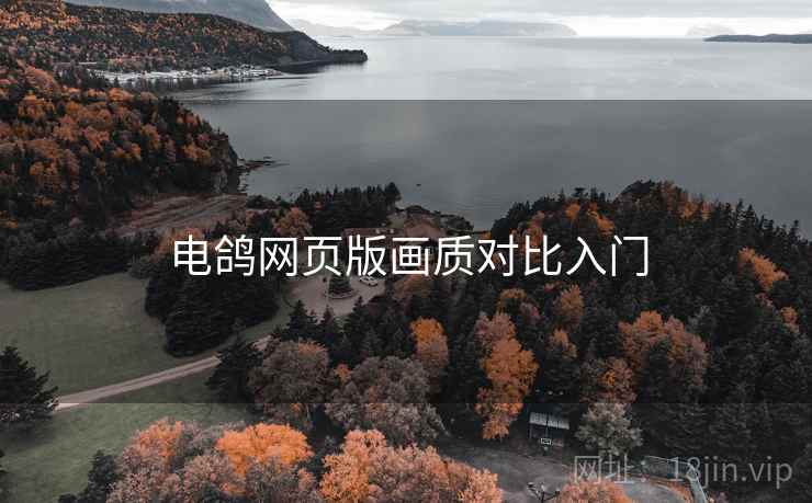 电鸽网页版画质对比入门